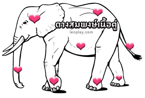 ดูดวงความรัก ช้างทำนายเนื้อคู่ดวงสมพงษ์